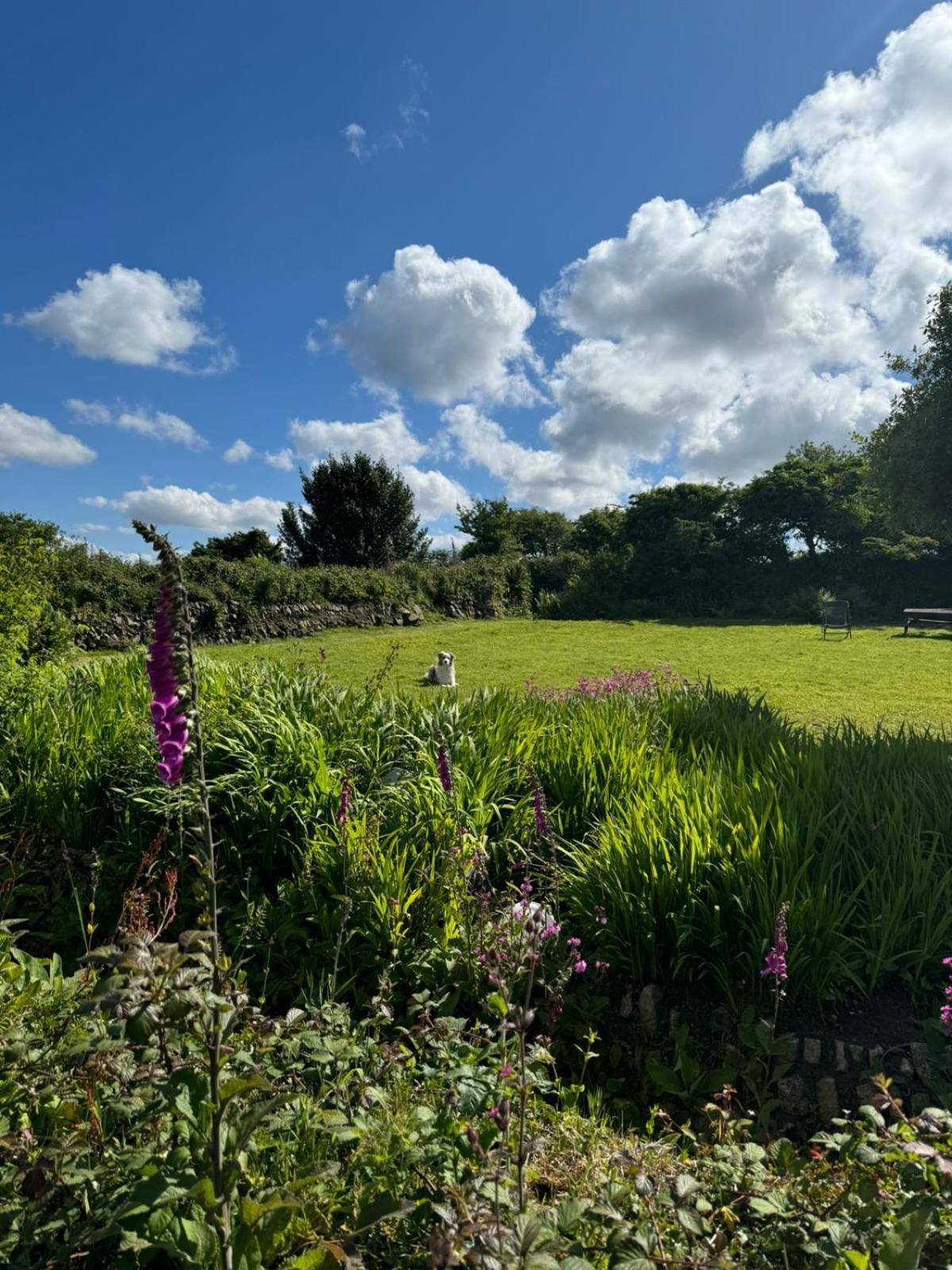 Kitts Cottage, Redruth, Cosy Cornish Retreat Luaran gambar
