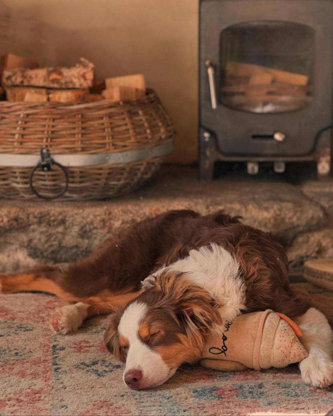 Kitts Cottage, Redruth, Cosy Cornish Retreat Luaran gambar